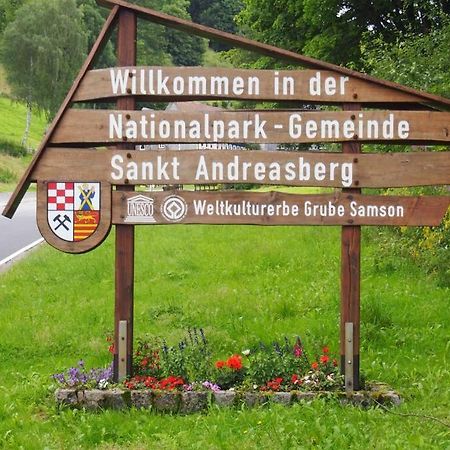 Apartment Harzblick -Neu Modernisiert- Sankt Andreasberg Luaran gambar