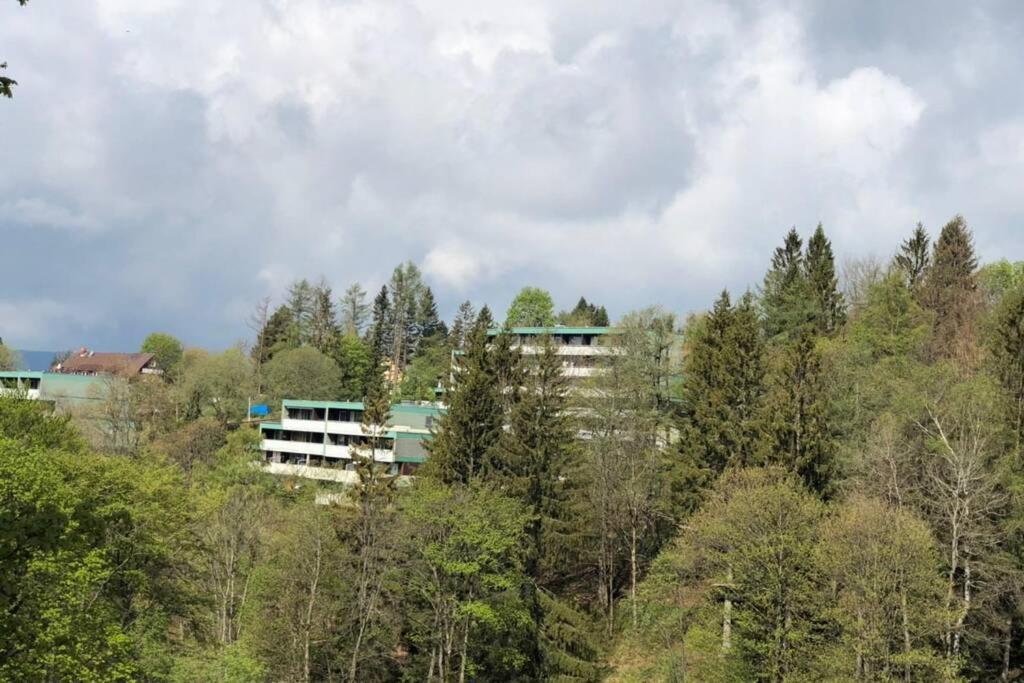 Apartment Harzblick -Neu Modernisiert- Sankt Andreasberg Luaran gambar