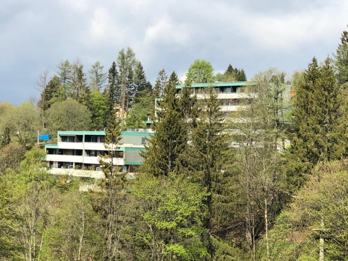 Apartment Harzblick -Neu Modernisiert- Sankt Andreasberg Luaran gambar